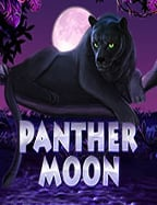 สูตรเล่น ทาง เข า thai sbobet ที่คุณต้องรู้